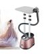 AG-1121 Garment Steamer By Anex